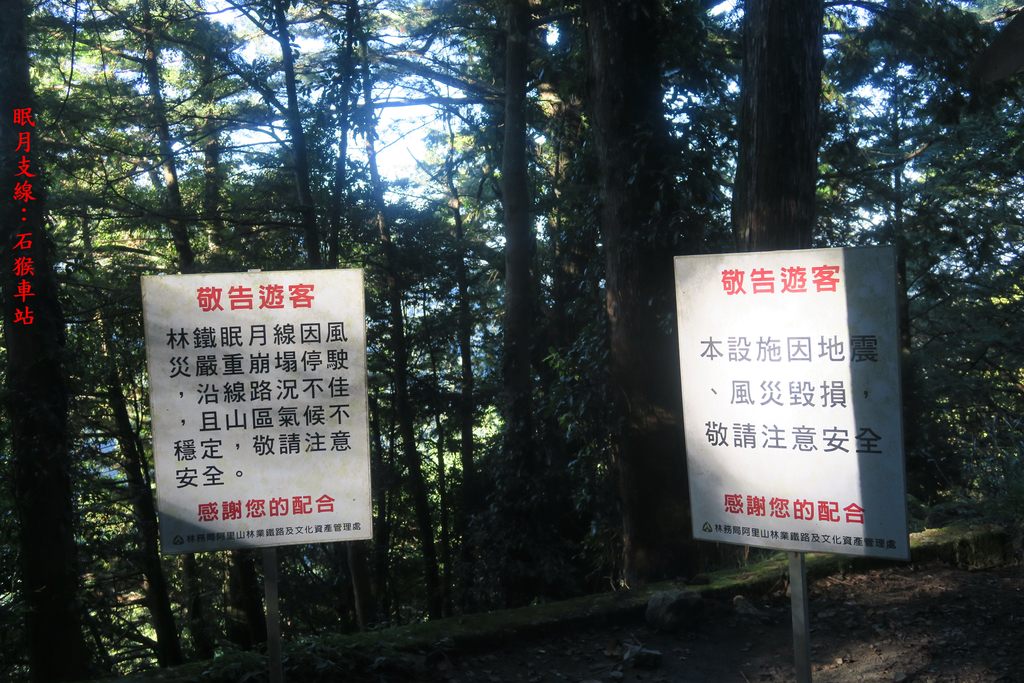 IMG_4658.JPG - 第二天：石猴遊憩區、松山、眠月神木、水漾森林20221028