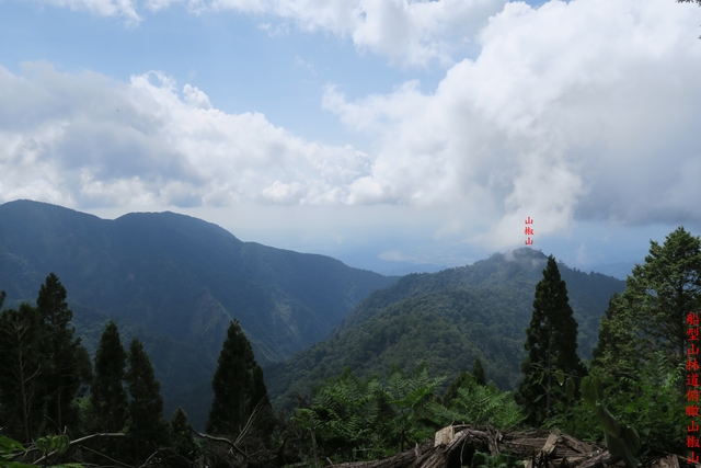 IMG_0894.JPG - 稍來小雪山步道、鞍馬山、船型山縱走＋（船型山林道、烏石坑山來回走）20200825