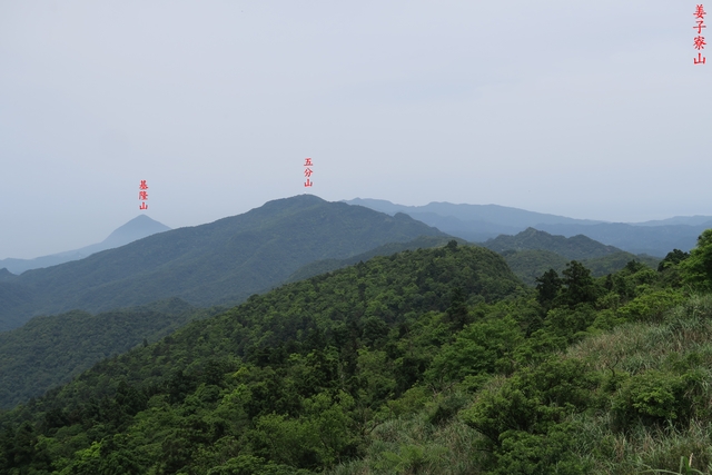 IMG_4780.JPG - 觀音湖山、東勢大崙、中窯尖、姜子寮山、內外西勢坑山、三疊山、八堵山O型走20210501