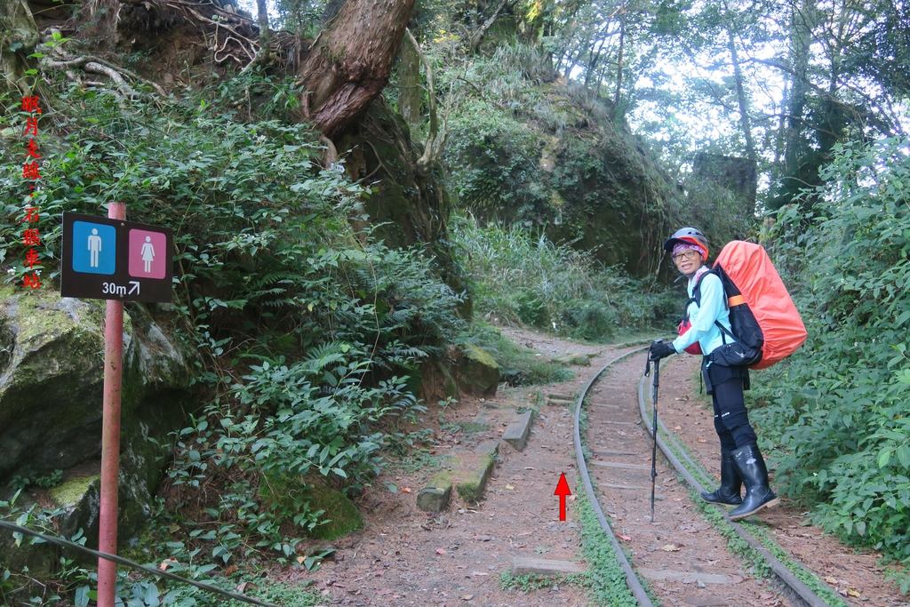 IMG_4661.JPG - 第二天：石猴遊憩區、松山、眠月神木、水漾森林20221028