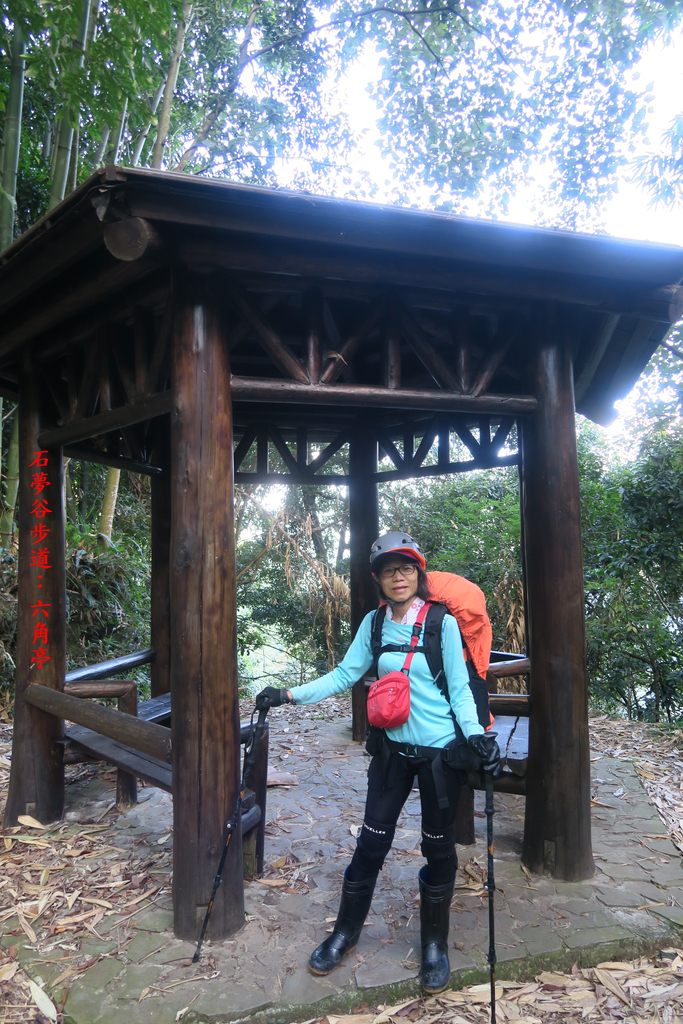 IMG_4562.JPG - 第一天：石夢谷景觀步道、阿里山眠月線、石猴遊憩區20221027