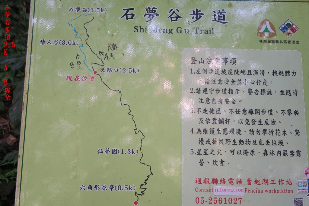 IMG_4569.JPG - 第一天：石夢谷景觀步道、阿里山眠月線、石猴遊憩區20221027