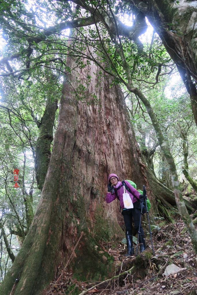 IMG_6459.JPG - 停機坪、治茆山南峰、治茆山、黑黑谷山、茶園登山口（第三天）20211017