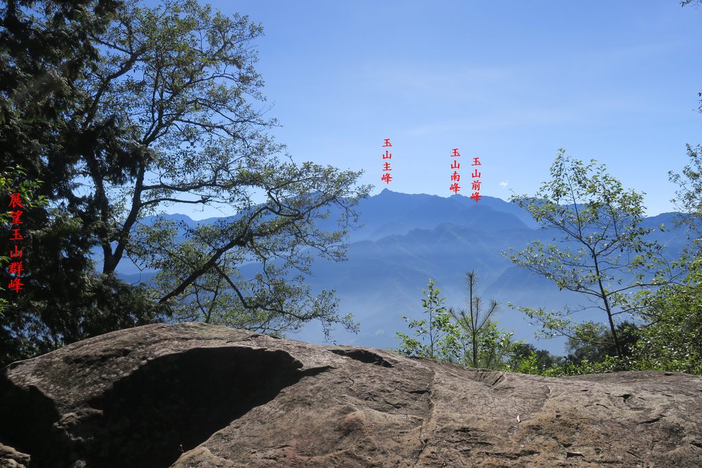 IMG_4674.JPG - 第二天：石猴遊憩區、松山、眠月神木、水漾森林20221028