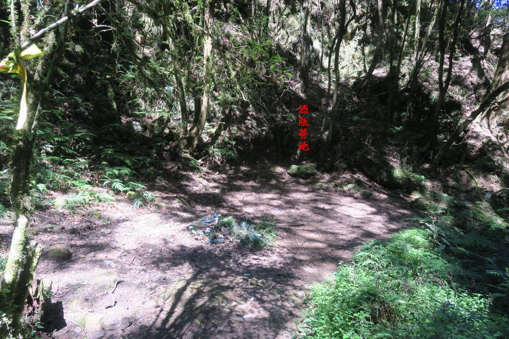 IMG_4708.JPG - 第二天：石猴遊憩區、松山、眠月神木、水漾森林20221028