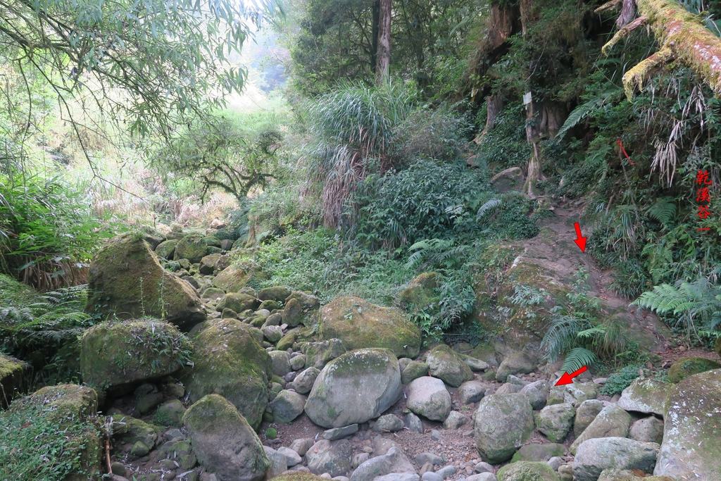 IMG_4717.JPG - 第二天：石猴遊憩區、松山、眠月神木、水漾森林20221028