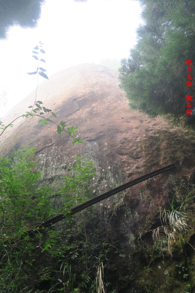 IMG_4653.JPG - 第一天：石夢谷景觀步道、阿里山眠月線、石猴遊憩區20221027