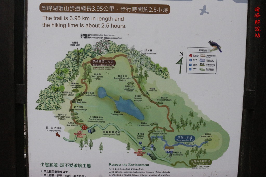 IMG_3178.JPG - 望洋山、翠峰湖環山步道、台灣山毛櫸步道、銅山來回走（二日行）第一天20211110